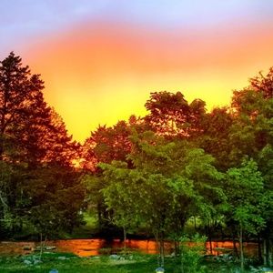 Meet your Posher, Lilly